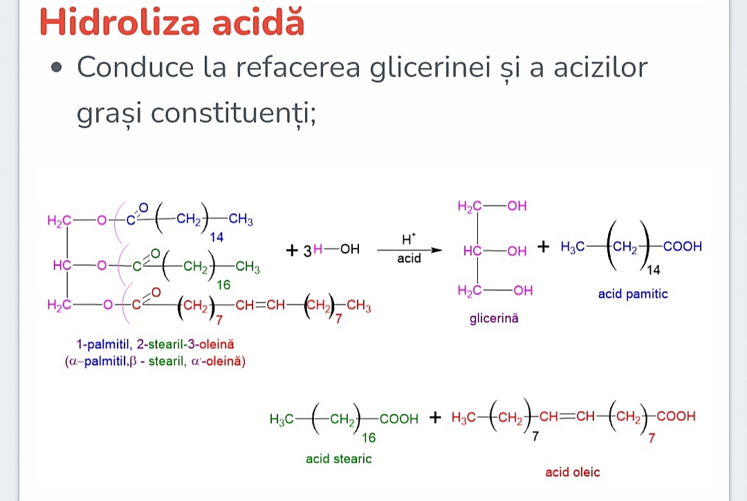 Hidroliza trigliceridelor