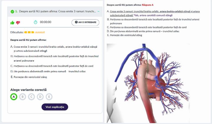 Quiz- Traseul limfocitului de la ganglion la splina