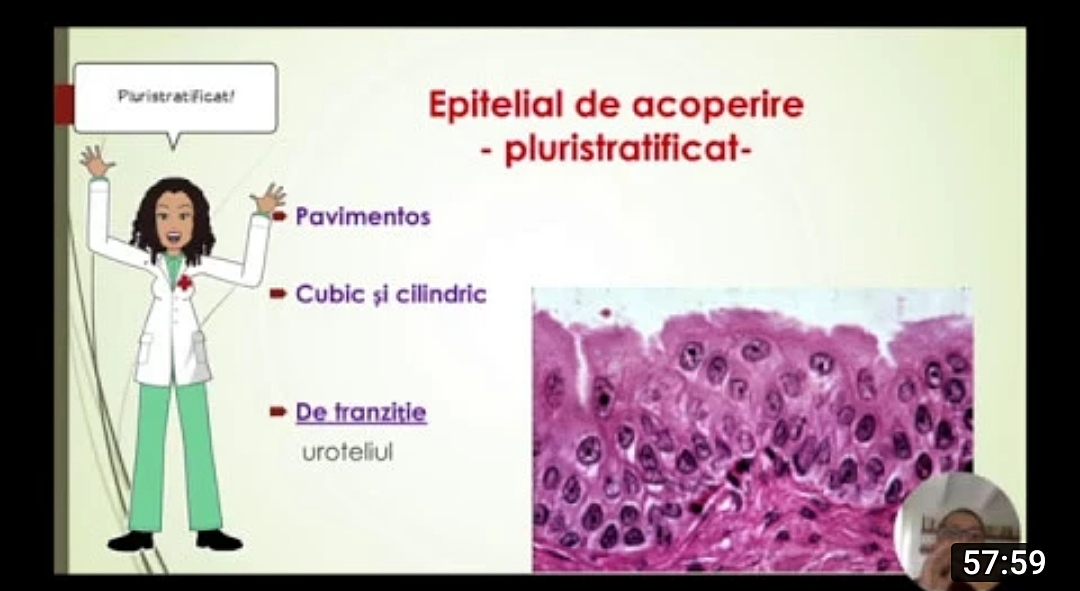 Țesuturi - video explicativ - #MaterieAdmitereMedicina