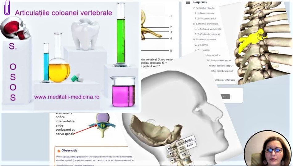 S. Osos - Articulațiile Coloanei Vertebrale  #MaterieAdmitereMedicina