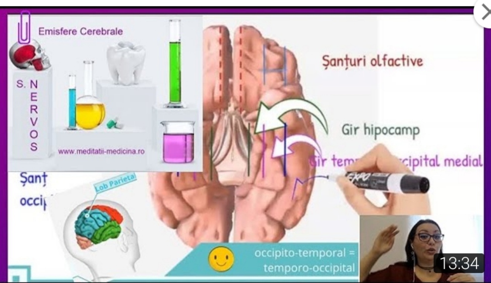Sistem Nervos 3 - Emisferele Cerebrale #MaterieAdmitereMedicina