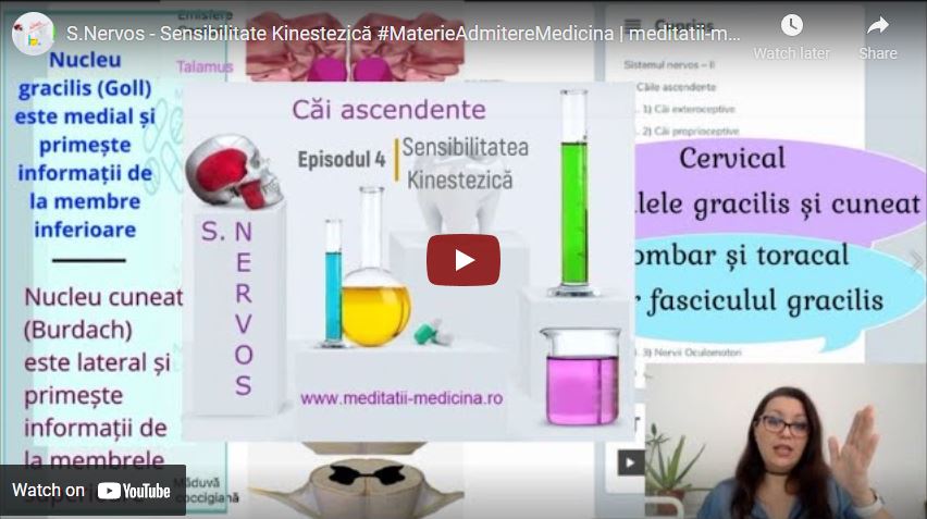 Sistem Nervos 2 - Sensibilitate Kinestezică #MaterieAdmitereMedicina​ | meditatii-medicina.ro