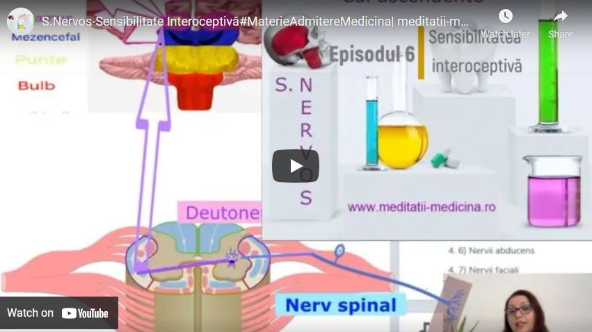 Sistem Nervos 2 - Sensibilitate Interoceptivă #MaterieAdmitereMedicina​ | meditatii-medicina.ro