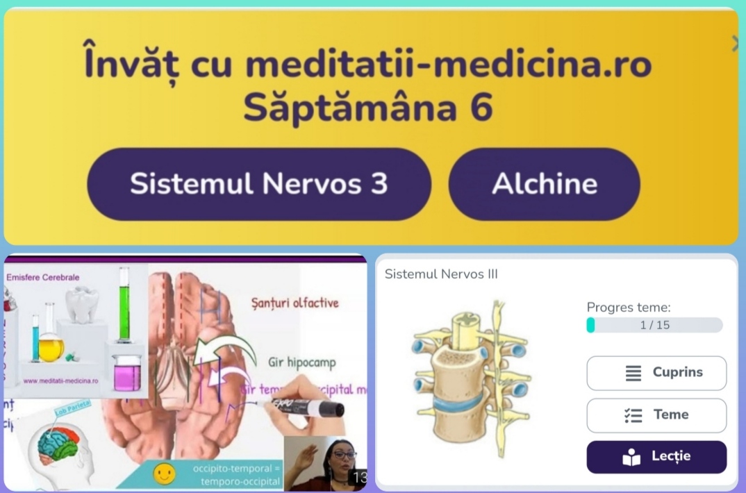 Săptămâna 6 Anato - Sistemul Nervos 3