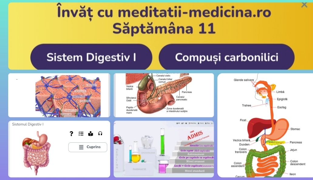 Săptămâna 11 Anato - Sistem Digestiv I