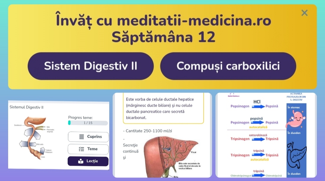 Săptămâna 12 Anato - Sistem Digestiv II