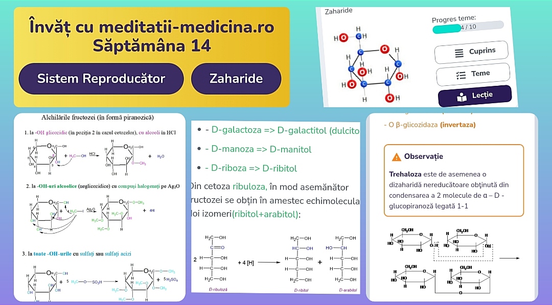 Săptămâna 14 Chimie - Zaharide