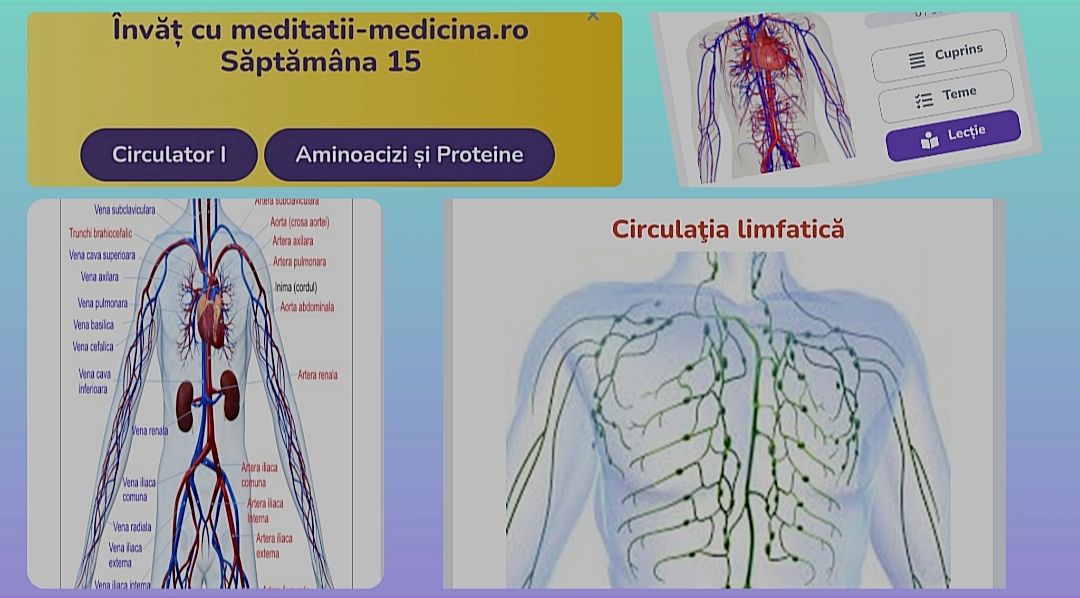 Săptămâna 15 Anato - Circulator I