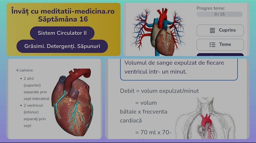 Săptămâna 16 Anato - Sistem Circulator II