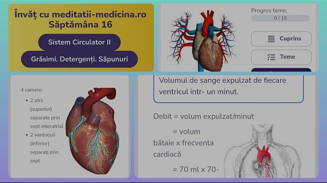 Săptămâna 16 Anato - Sistem Circulator II