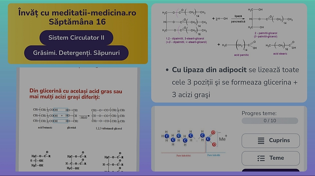 Săptămâna 16 Chimie - Grăsimi, Detergenți, Săpunuri